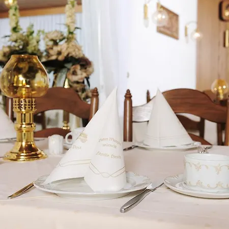 Alte Post Garni 3* Ginsheim-Gustavsburg